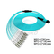 100G OM3 MPO to 8 12 24 Core LC Duplex Multimode Fiber Breakout Cable MTP Fiber Jumper